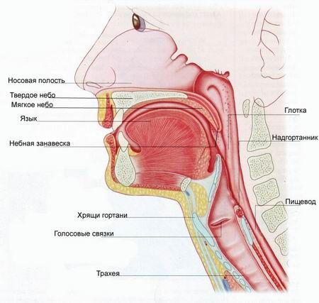வலி நிவாரணி