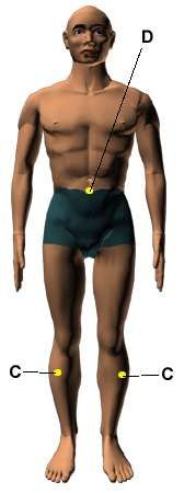 புள்ளிகள் 2