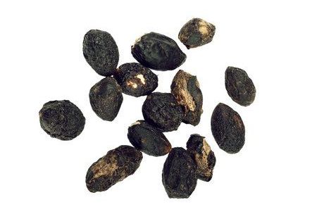 செரினோவா பனை